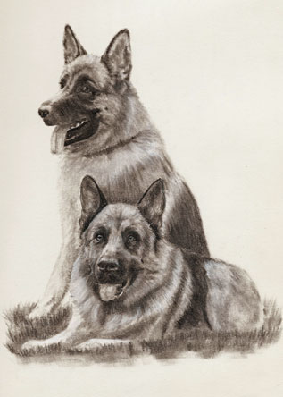 lutz_utz15